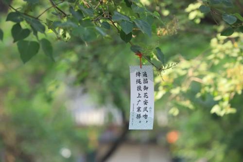 微信图片_20240419094610 微信图片_20240419094610