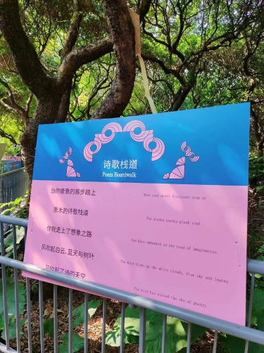 图片19