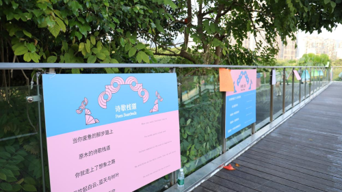 图片20