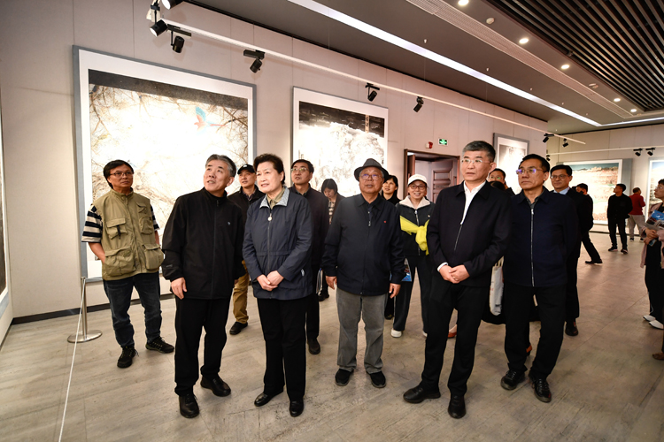 图片6.png 图片6.png